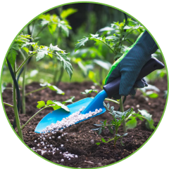 Fertilizers