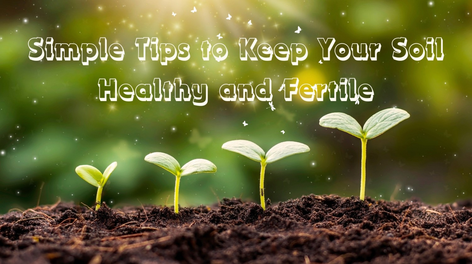 Easy Tips to Maintain Your Soil Healthy and Fertile Easy Tips to Maintain Your Soil Healthy and Fertile