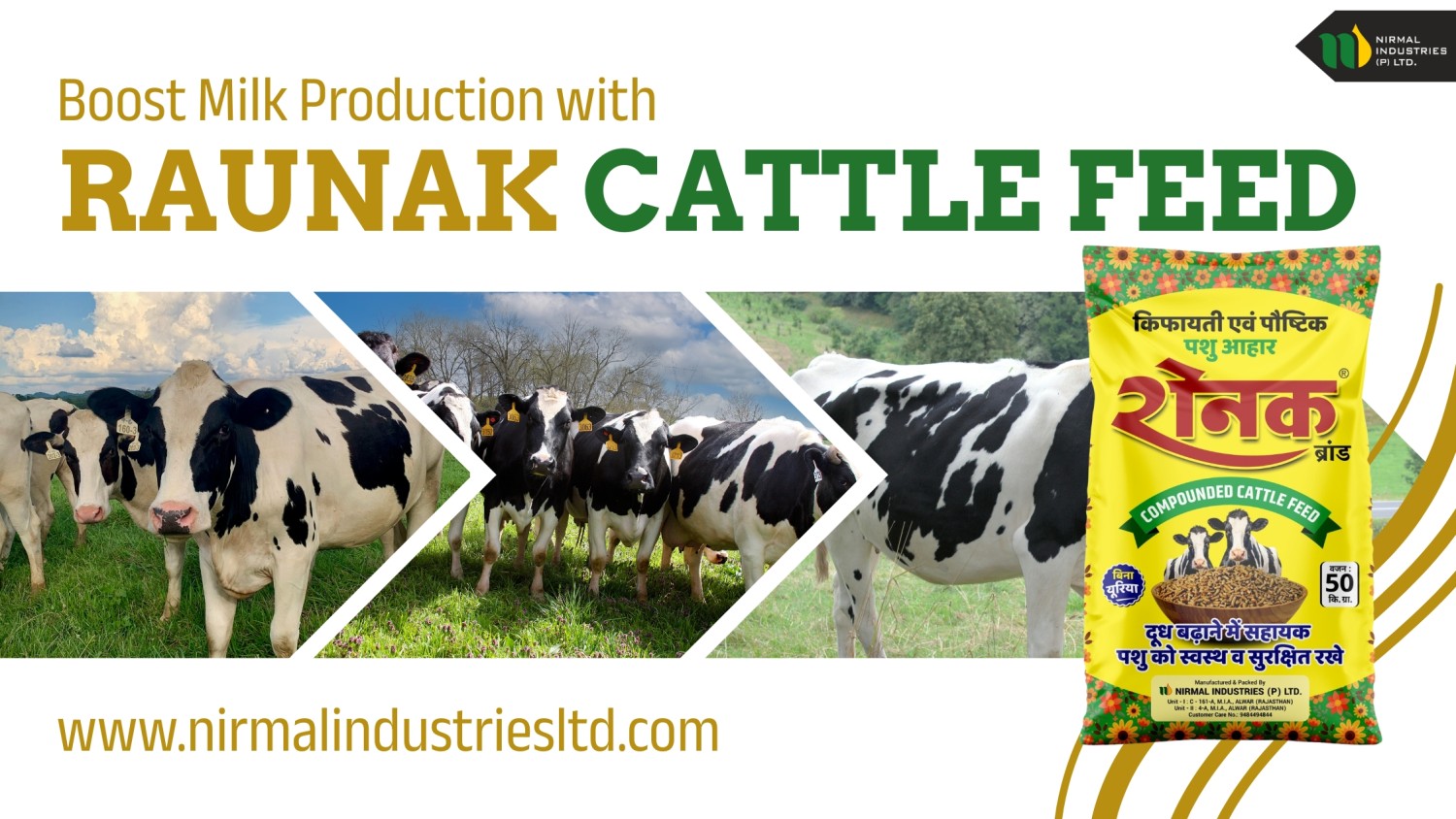 Is Raunak Compounded Cattle Feed Best for Dairy Farmers?