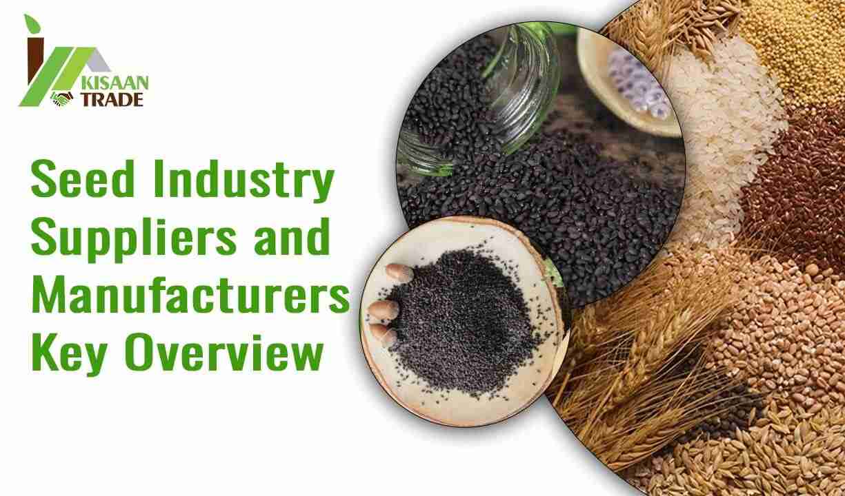 Seed Industry Suppliers and Manufacturers: Key Overview