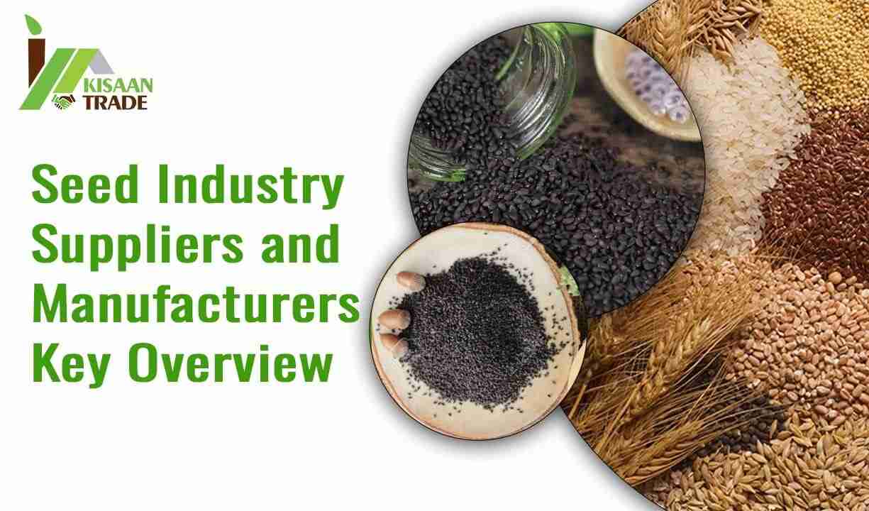 Seed Industry Suppliers and Manufacturers: Key Overview Seed Industry Suppliers and Manufacturers: Key Overview