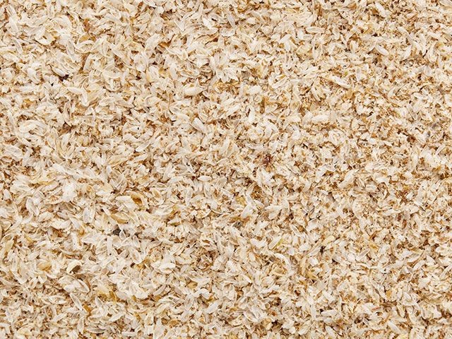 Psyllium Husk and Powder Manufacturer, Suppliers, Exporters
