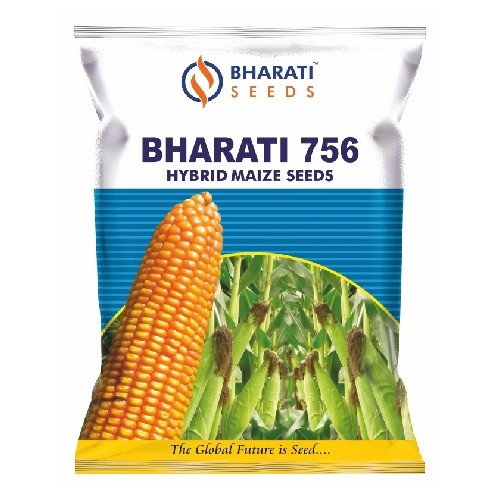 BHARATI 756 POWER Hybrid Maize Seeds | Long & Uniform Grain-Filled Cobs | High Shelling | Weighted Grains
