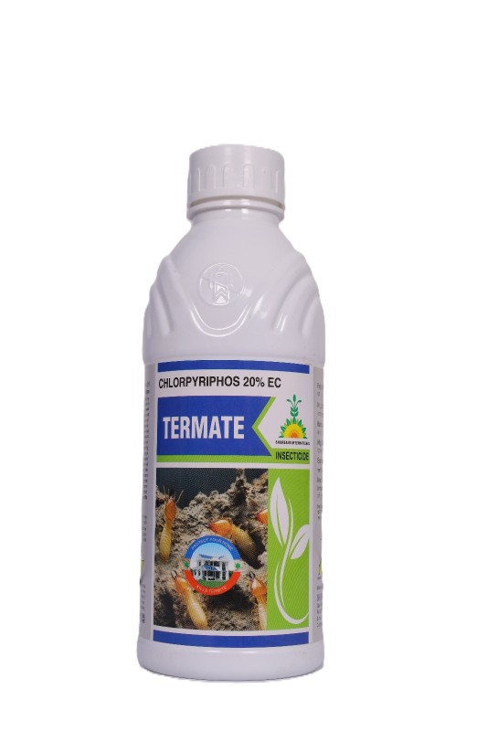 TERMATE