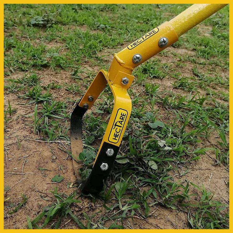 Weeding Hoe Hand Weeder Tool For Gardening Buy Quality Hoes