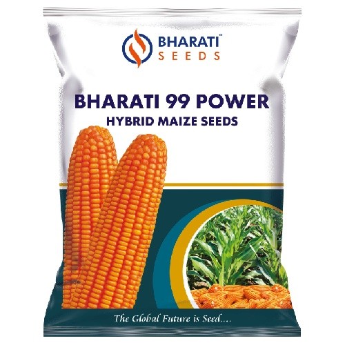 BHARATI 99 POWER Hybrid Maize Seeds | More Cobs Per Acre | High Shelling Percentage | Disease & Pest Tolerance