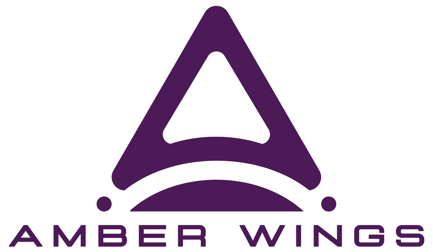 Amber Wings Private Limited