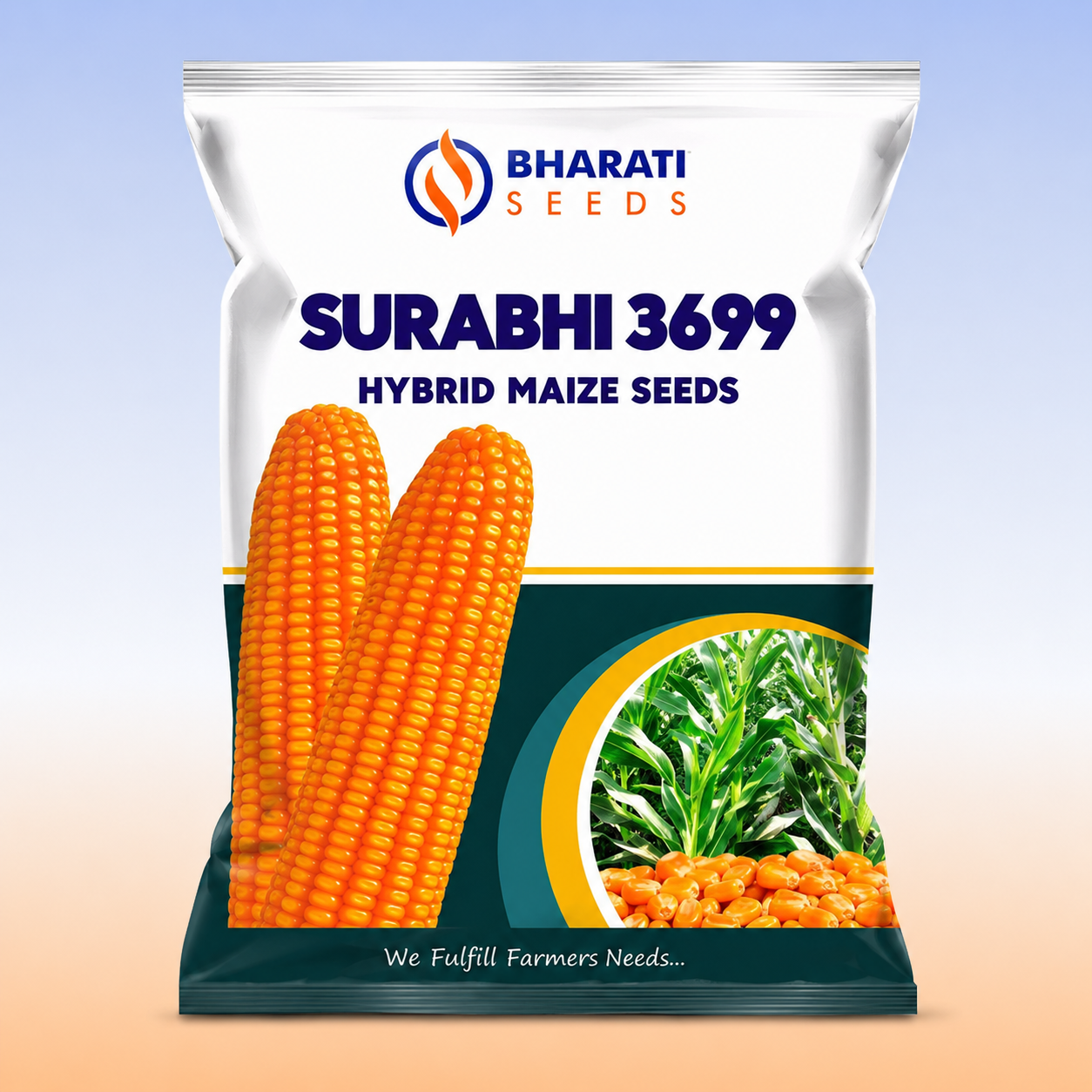 SURABHI 3699 Hybrid Maize Seeds | Long & Uniform Cobs | Weighted Narangi Colour Grains | High Shelling Percentage