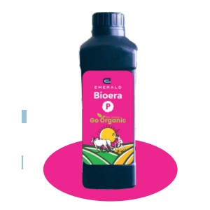 Bioera P Phosphate Solubilizing Biofertilizer – PSB Bacteria for Enhanced Phosphorus Availability, Root Development & Higher Crop Yield