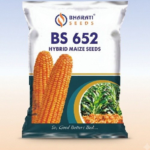 BS 652 Hybrid Maize Seeds | Long & Uniform Cobs | Narrow Shank | High Shelling Percentage | Weighted Grains