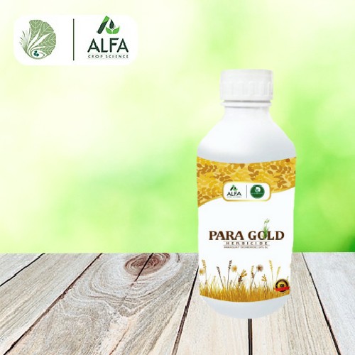 PARA GOLD | PARAQUAT DICHLORIDE 24% SL | Herbicide