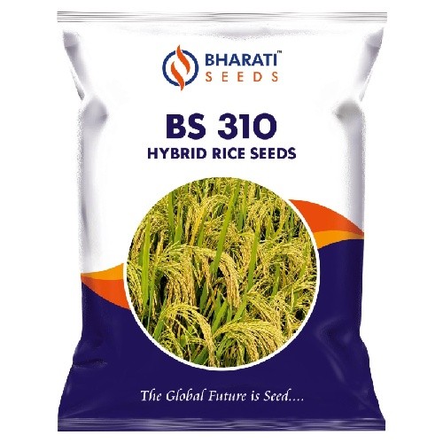 BS 310 Hybrid Rice Seeds | 120–125 Days Duration | Medium Slender Grain | High-Yielding Rice Variety