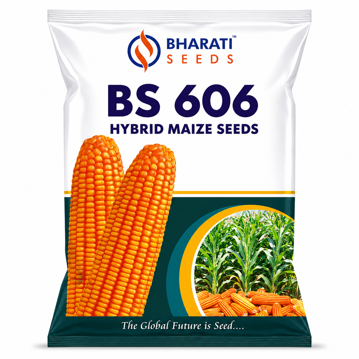 BS 606 Hybrid Maize Seeds | Long & Uniform Cobs | Narrow Shank | High Shelling Percentage | Weighted Grains