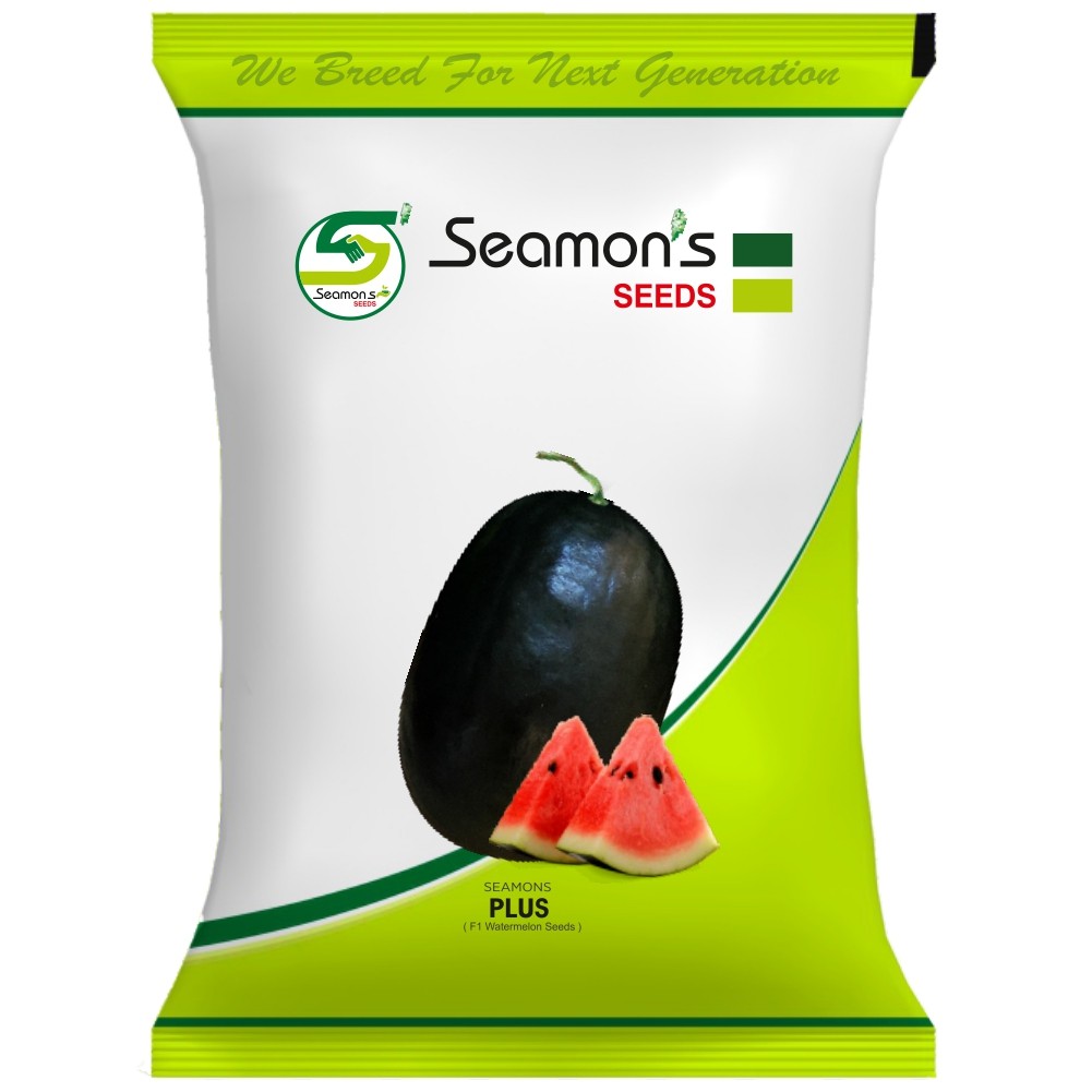 Seamons Plus Hybrid Watermelon Seeds