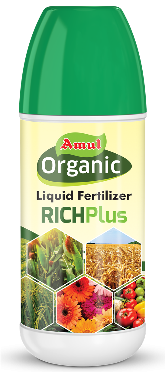 Amul Richplus