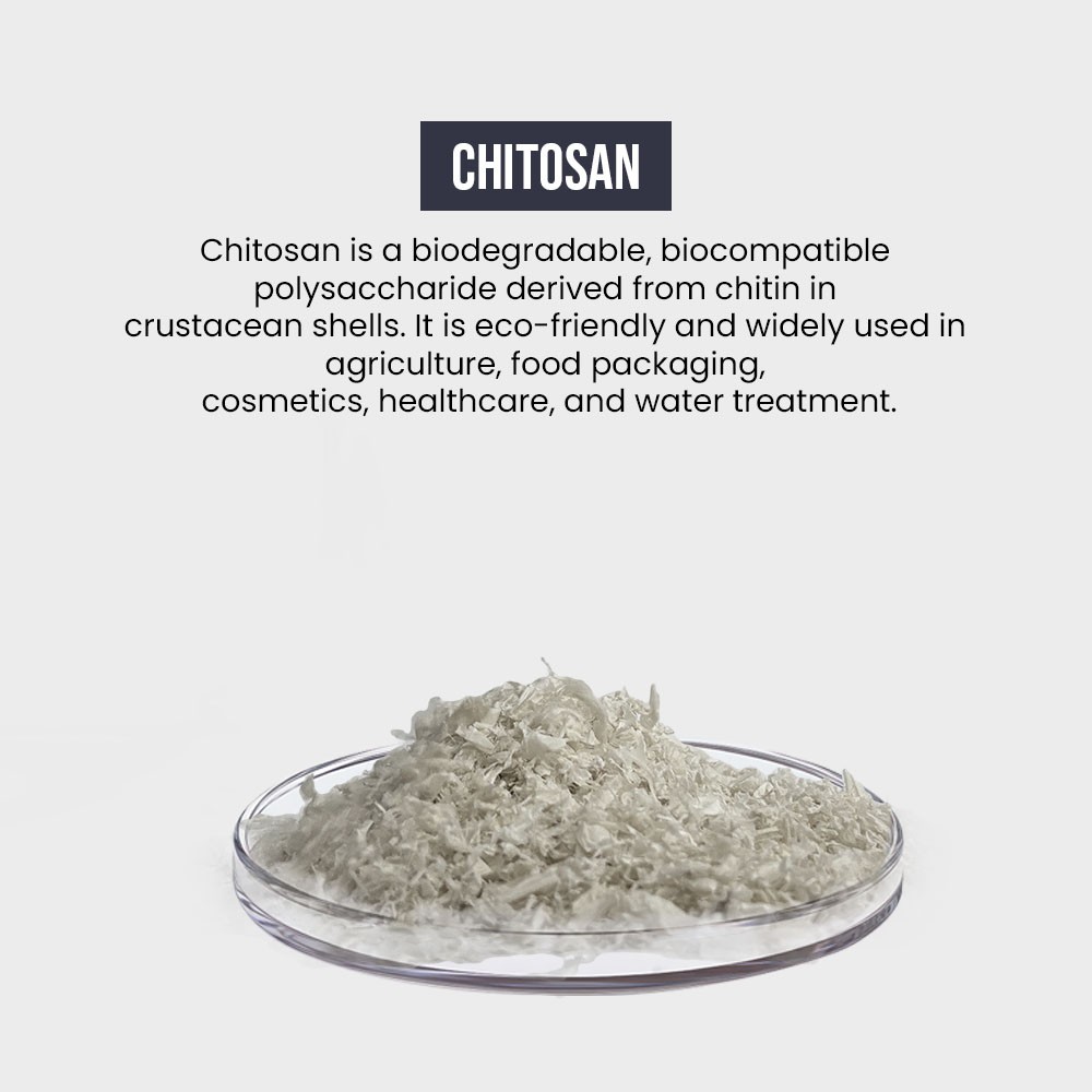 Chitosan
