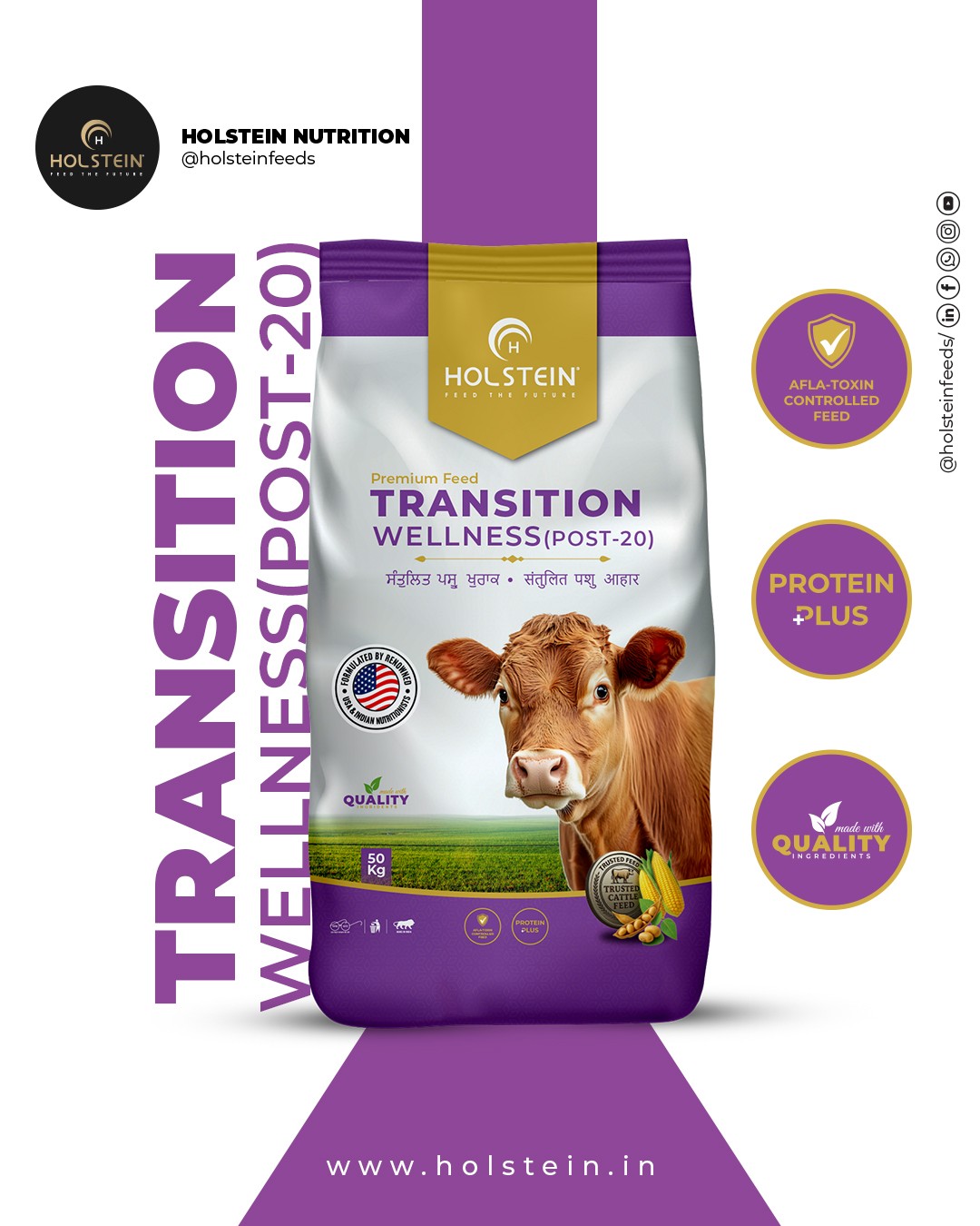 Holstein Transition Wellness (POST-20)