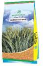 ShriKrishna | Wheat Quality Seeds Variety | Buy Online Wheat Seeds