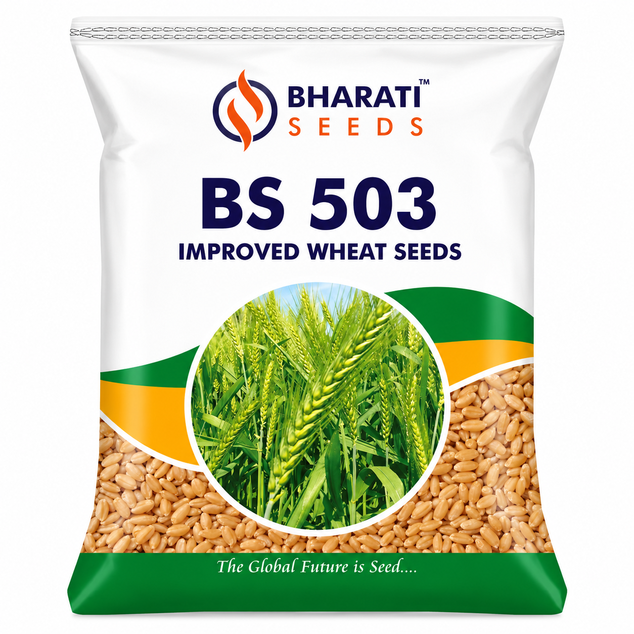 Bharati Seeds BS 503 Improved Wheat Seeds – Quality Wheat Seed for Healthy Crop Growth & Grain Production