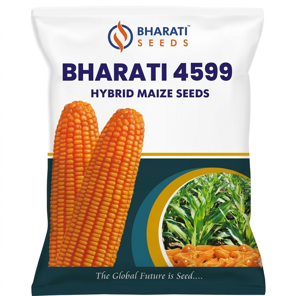 Bharati Seeds - BHARATI 4599 Hybrid Maize Seeds
