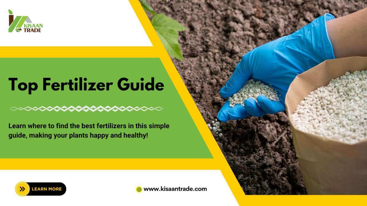 Finding the Best Fertilizer Suppliers: A Comprehensive Guide