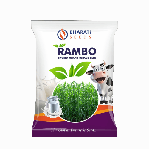Bharati Seeds Rambo Hybrid Jowar Forage Seed – High-Quality Hybrid Sorghum Seed for Nutritious Green Fodder