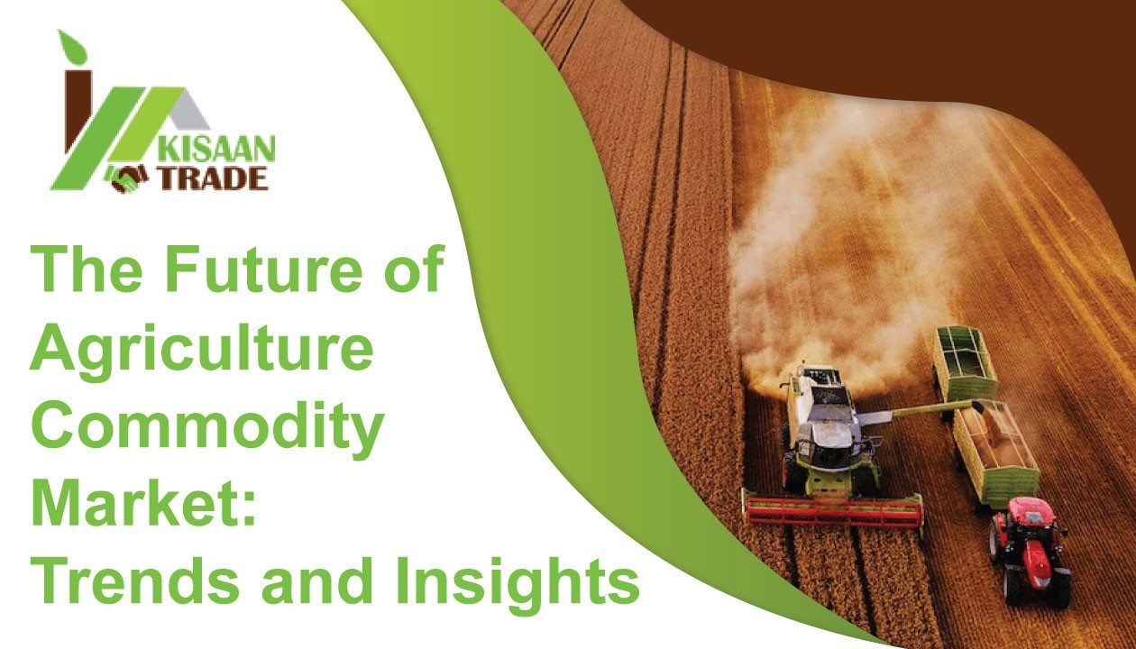 The Future of the Agriculture Commodity Market: Trends and Insights