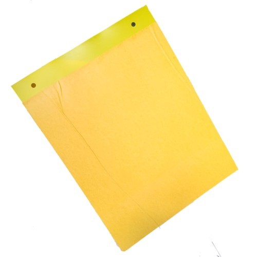 Yellow Sticky Insect Pheromone Trap  - (Pack 12 bundle) of 25 sun pack sheet Size (6x 8 inch)