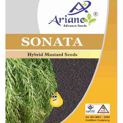 Sonata Seeds | Mustard | Hybrid Mustard