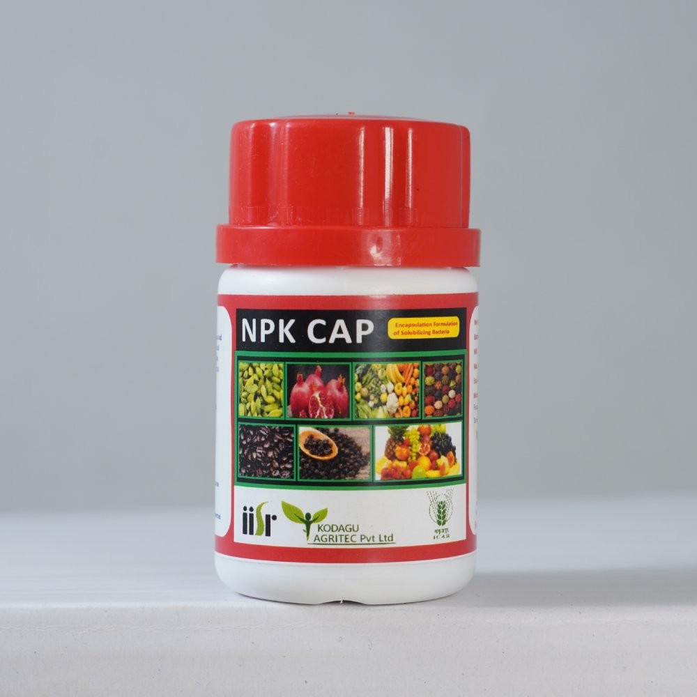 NPK CAPSULES - Kodagu Agritech (Plant Growth Promoting Bacteria, NPK Capsules)