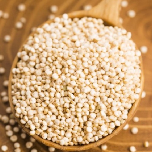 Quinoa Seed, For Eating, Farming - Wholesalers