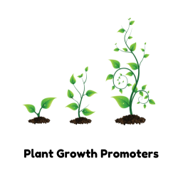 Plant Growth Promoters