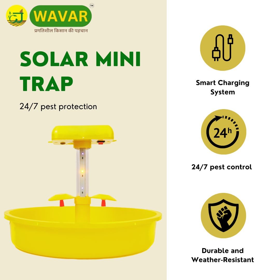 Wavar Jadugar Solar insect light Wavar Jadugar Solar insect light