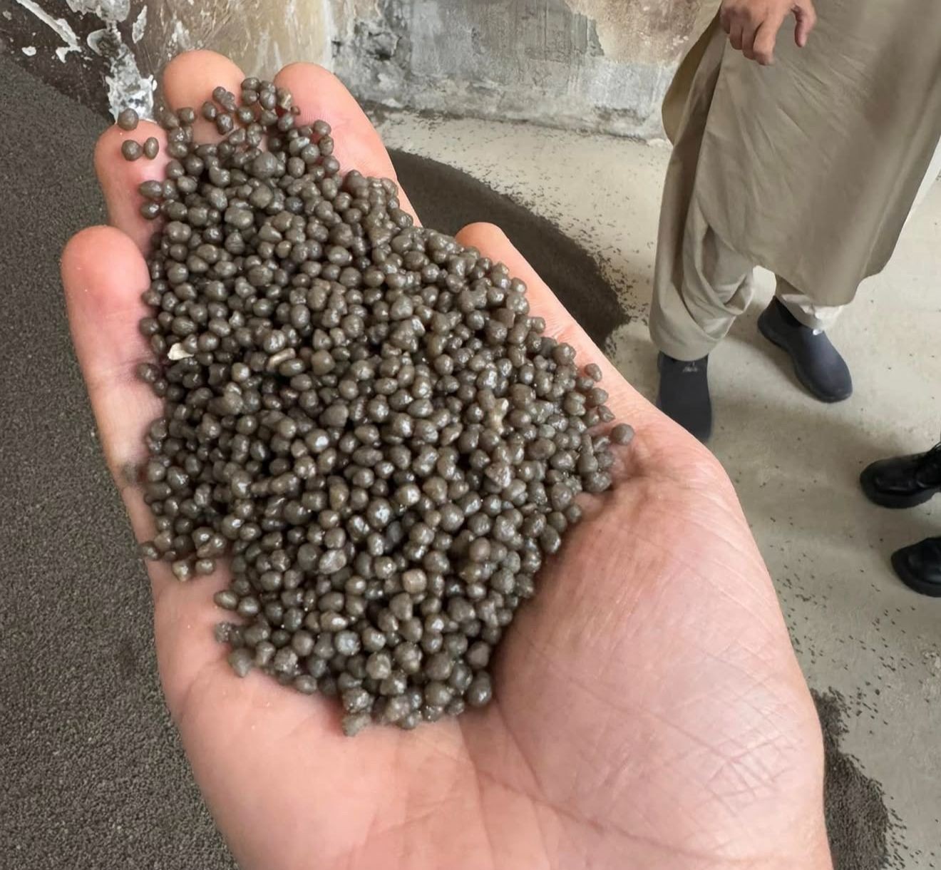 Diammonium Phosphate