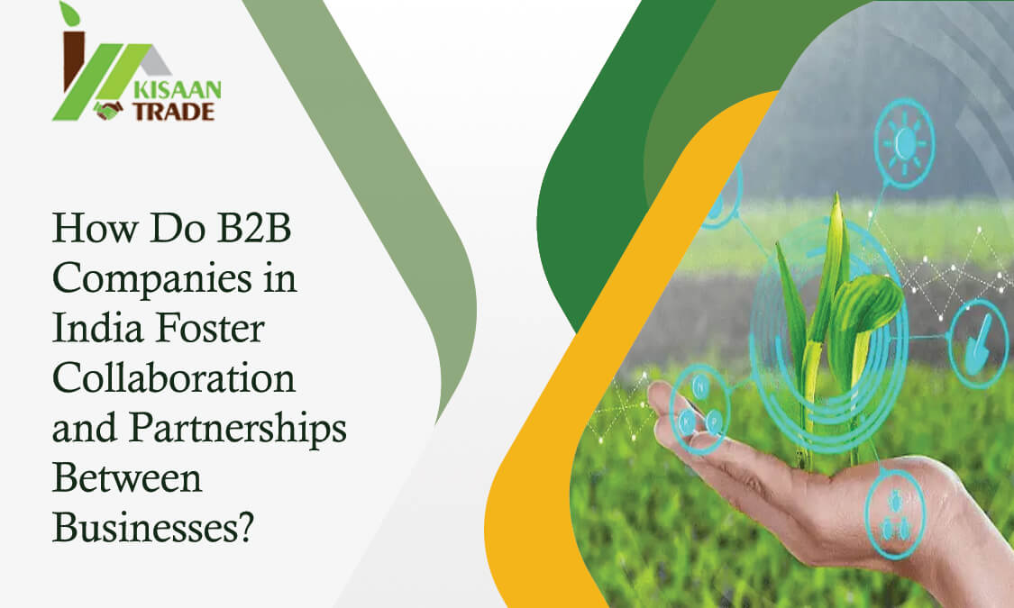 How Do B2B Companies in India Foster Collaboration and Partnerships Between Businesses? How Do B2B Companies in India Foster Collaboration and Partnerships Between Businesses?
