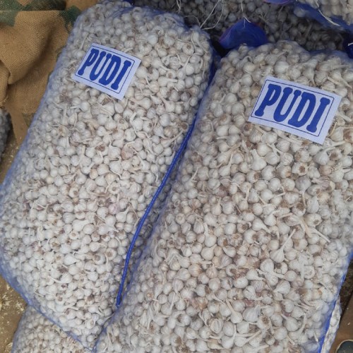 Grade A Pudi Desi Lahsun Best Mall, Packaging Type: Net Bag, Packaging Size: 50 Kg