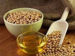 Organic Soybean Meal Manufacturers and Suppliers - Soya Meal