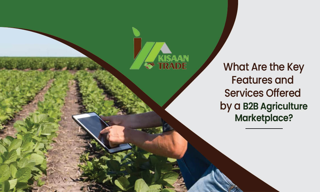 What Are the Key Features and Services Offered by a B2B Agriculture Marketplace? What Are the Key Features and Services Offered by a B2B Agriculture Marketplace?