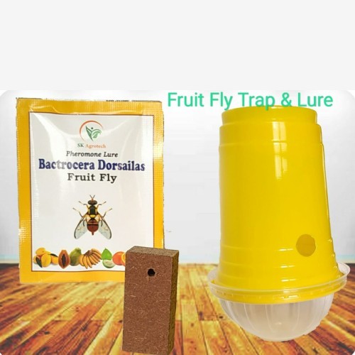 Fruit fly pheromone trap & Lure