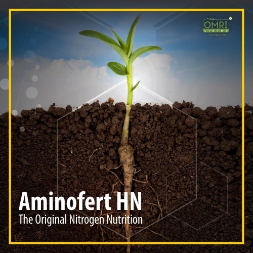 AMINOFERT HN 13% (HIGH NITROGEN)