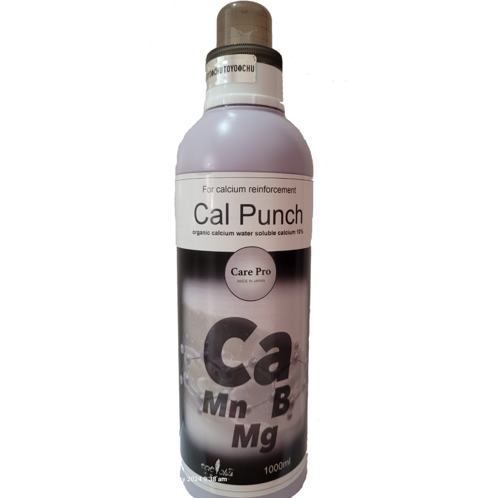 Cal Punch - Organic Calcium Nitrate for Plants (Calcium Nitrate Liquid Fertilizer)