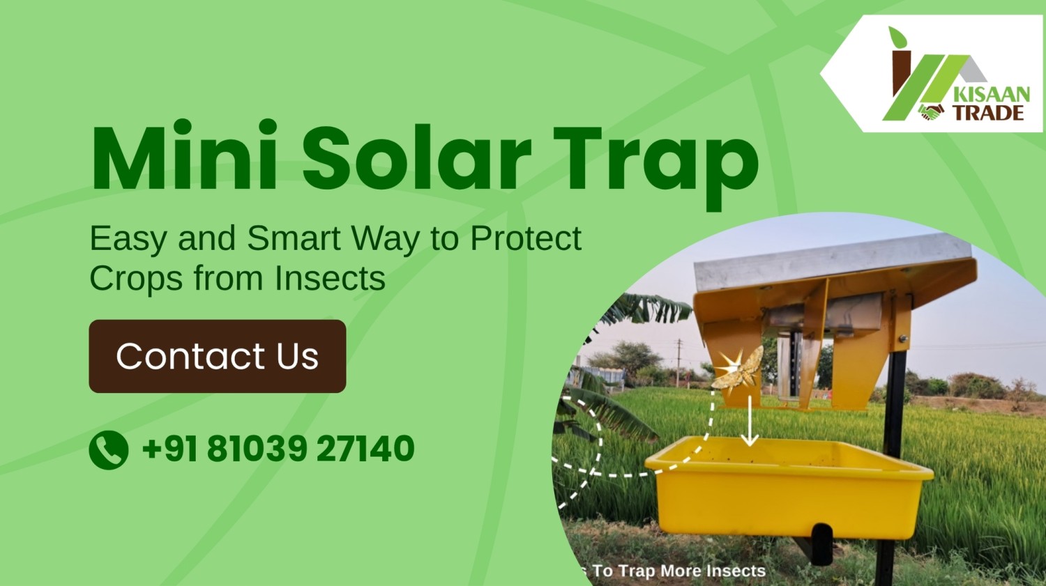 Mini Solar Trap: Smart Way to Protect Crops from Insects Mini Solar Trap: Smart Way to Protect Crops from Insects