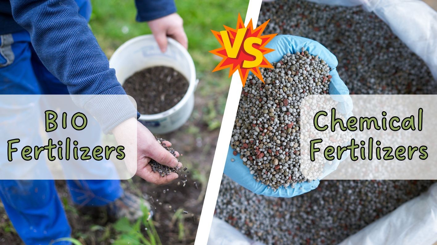 Bio Fertilizers vs Chemical Fertilizers: Choose the Eco-Friendly Future! Bio Fertilizers vs Chemical Fertilizers: Choose the Eco-Friendly Future!