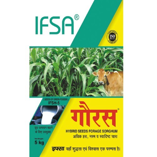 Gouras | Sorghum Hybrid Forage Seeds | IFSH - 5 Variety