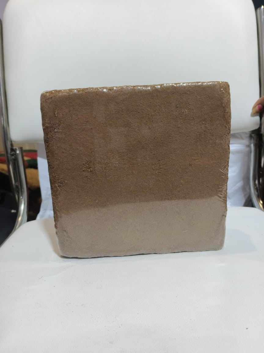 Cocopeat Block 5 kg Low Ec