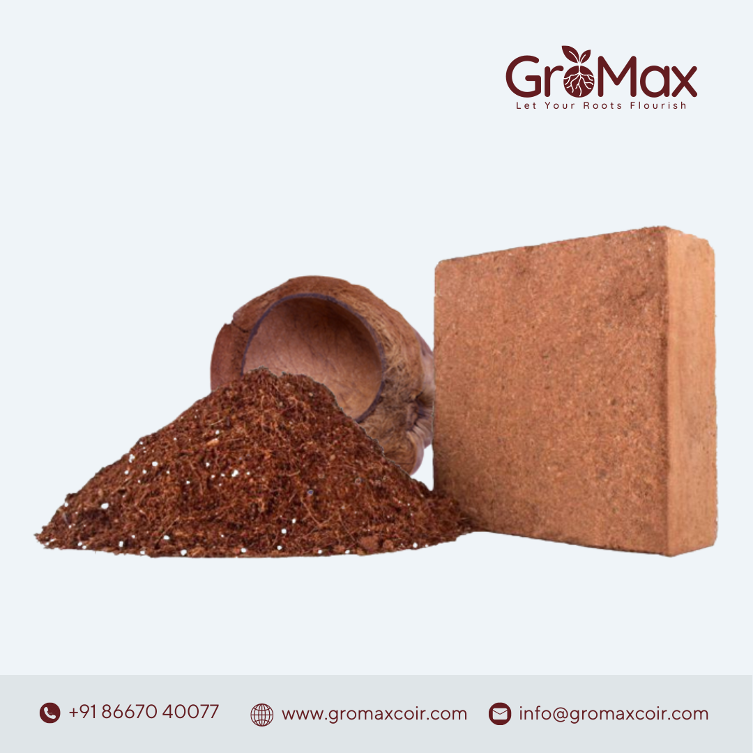 Coco Peat Block | Gromax Cocopeat Block Best Price