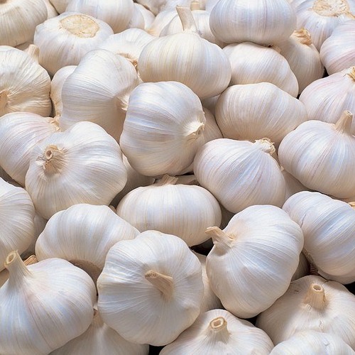 A Grade Garlic Pudi, Garlic Size: 28 mm, Packaging Size: 50 Kg