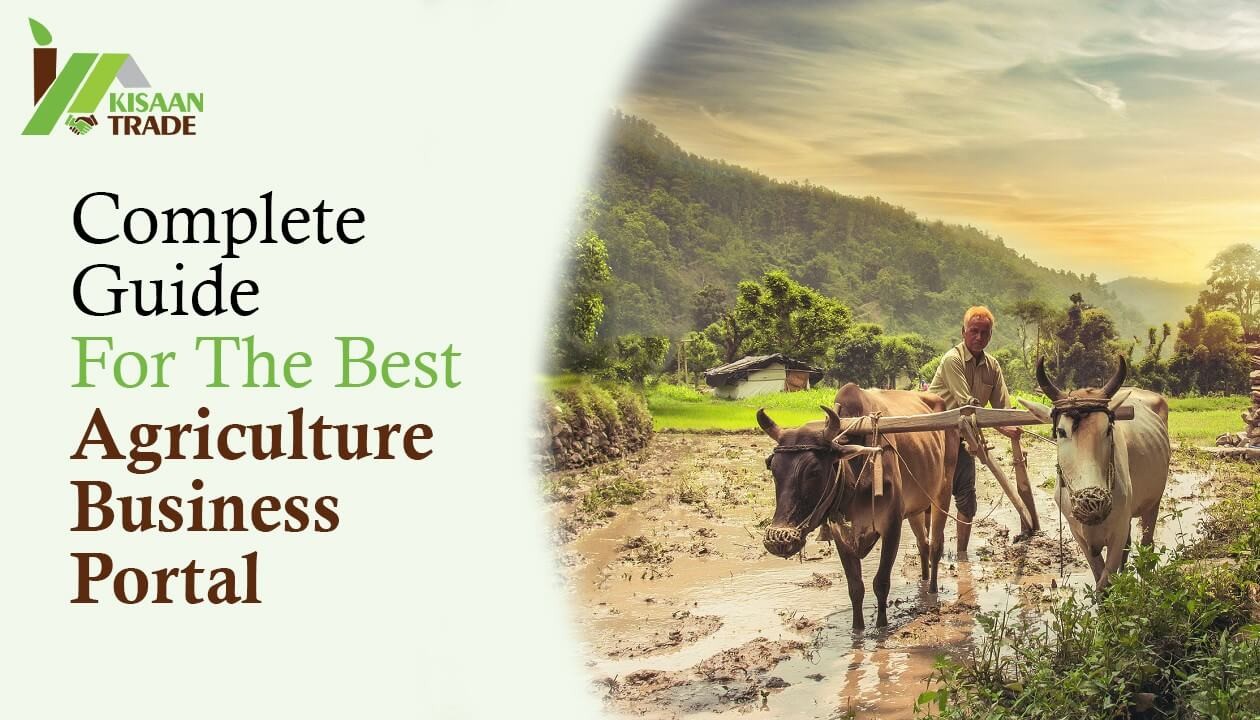 The Complete Guide to the Best Agriculture Business Portal