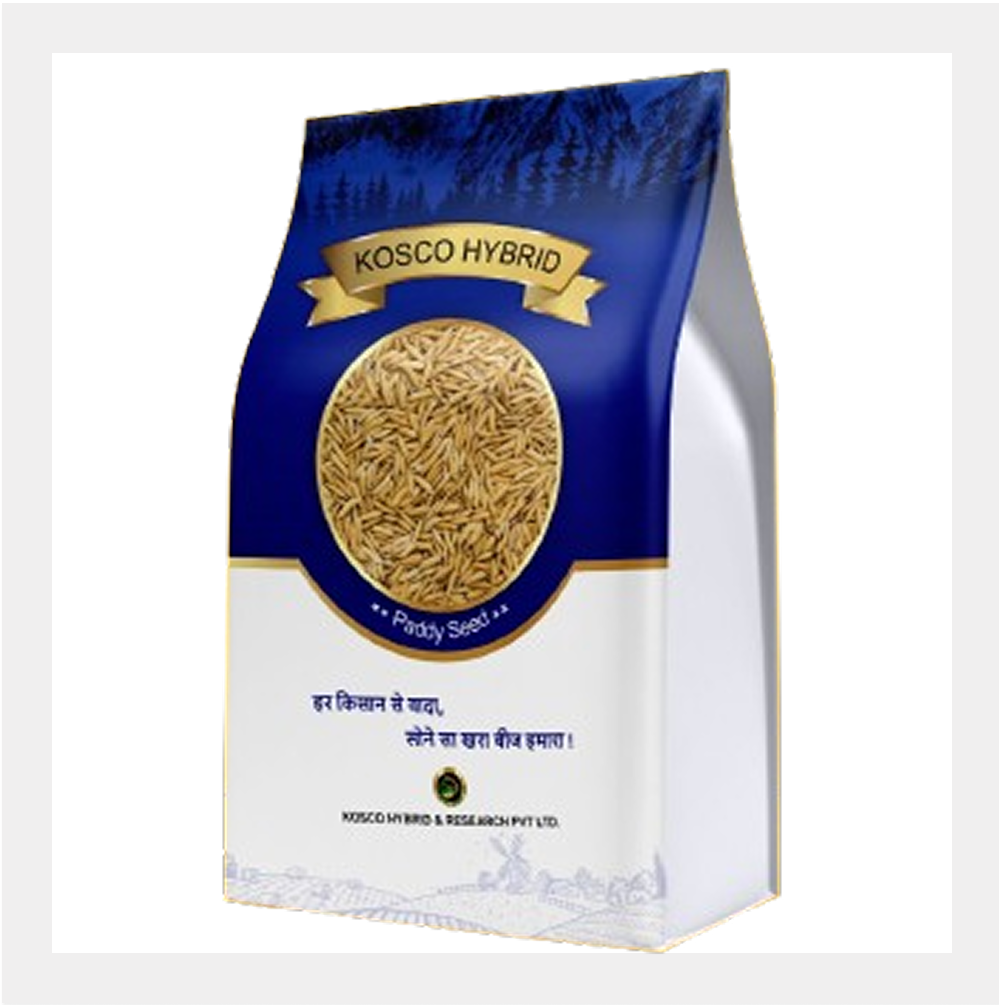 Paddy/ Wheat/ Dhaan Seed PB-1718