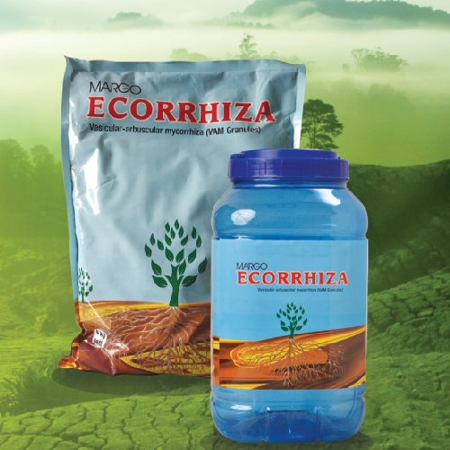 Vesicular Arbuscular Mycorrhiza (VAM) Ecorrhiza®